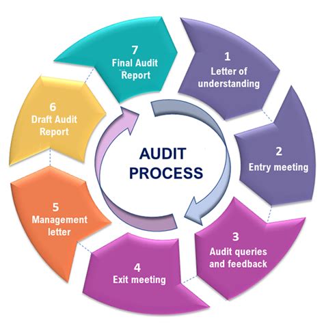 10 steps audit process.